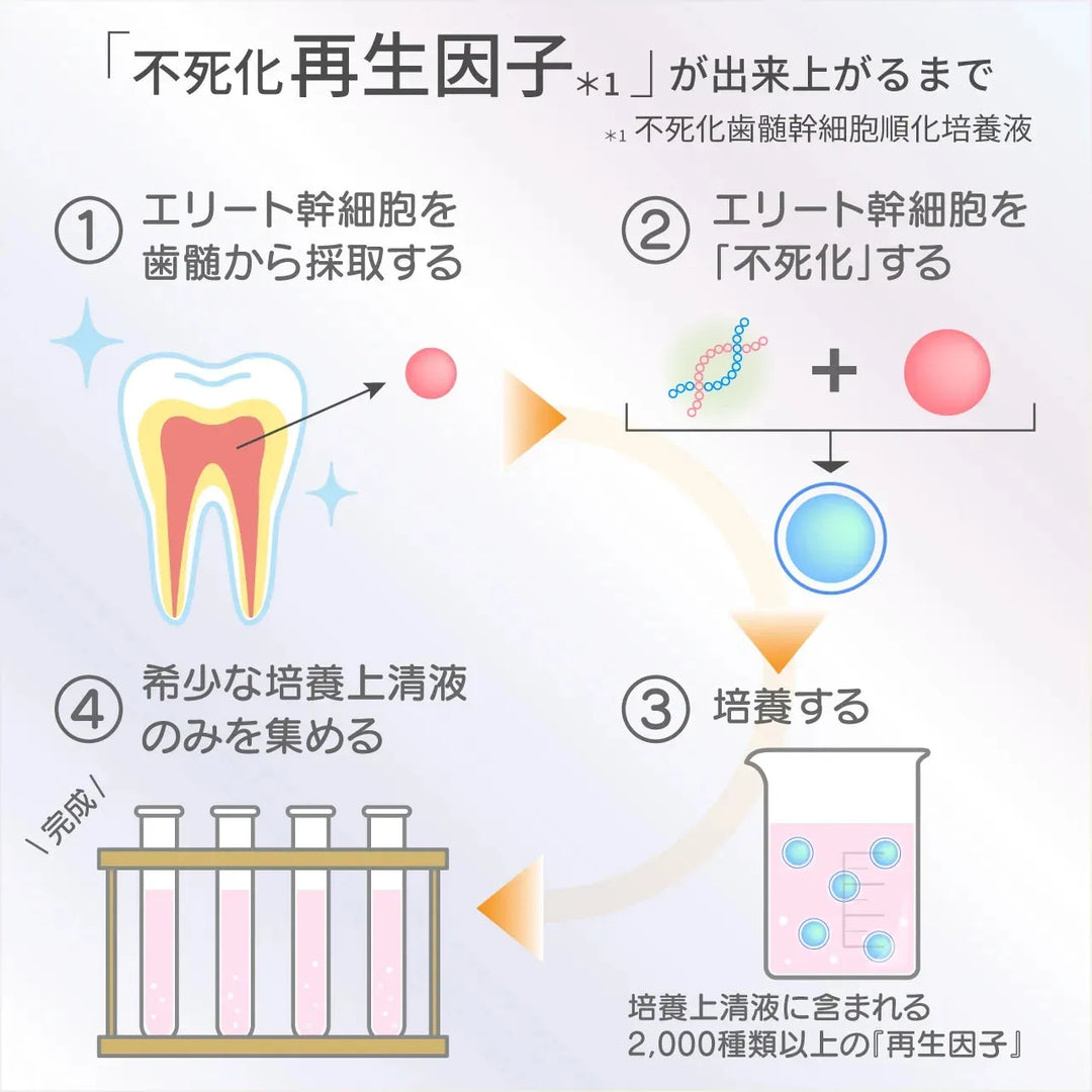 バイオリプロ FK チャージ｜DARWIN - CHOUCHOU シュシュ｜美容アイテム通販サイト