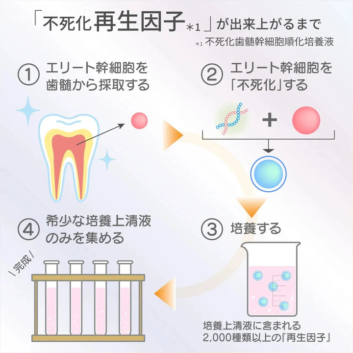 バイオリプロ FK チャージ｜DARWIN - CHOUCHOU シュシュ｜美容アイテム通販サイト
