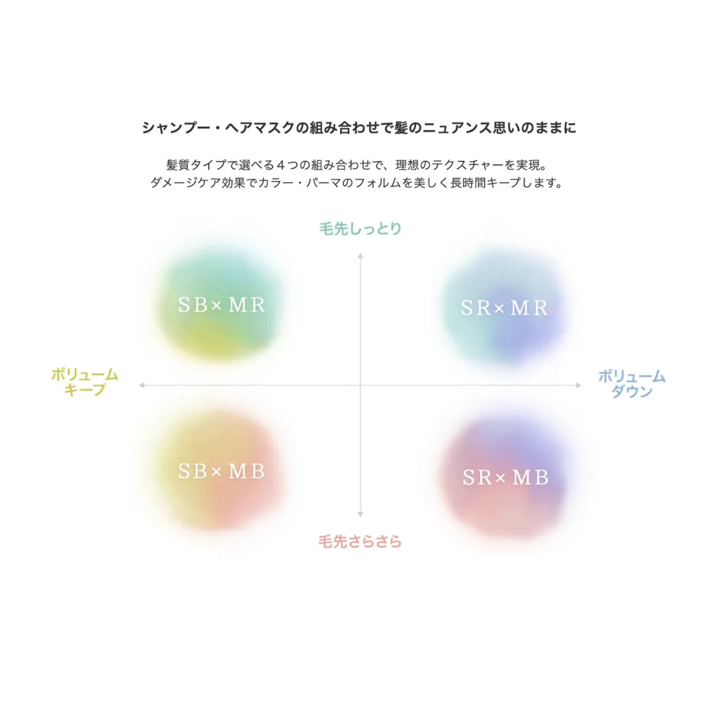 フィヨーレ エフプロテクト シャンプーベーシック SB 300mL｜FIOLE