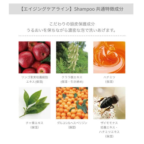 エイジングケアラインシャンプー共通特徴1