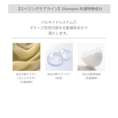 エイジングケアラインシャンプー特徴2