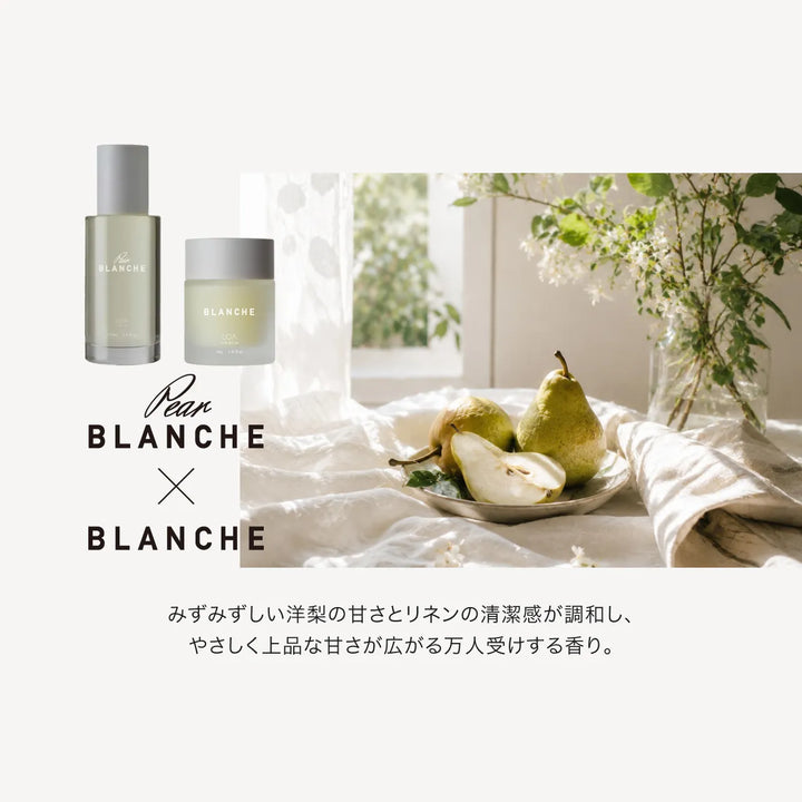 【選べるセット】ロア ザ オイル 100ml × ロア ザ バーム 40g｜LOA