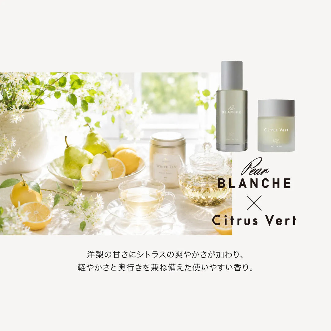 【選べるセット】ロア ザ オイル 100ml × ロア ザ バーム 40g｜LOA