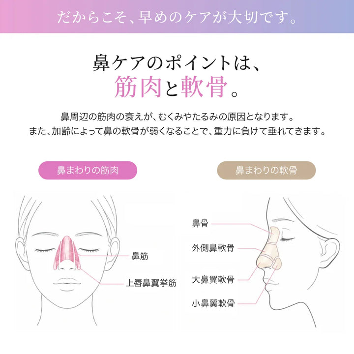 ルクセア フォーネス オーラ 鼻専用美顔器 LUXCEAR
