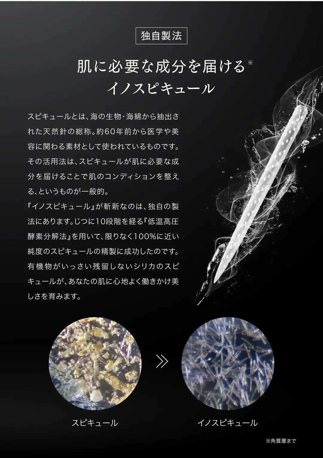 V3 スピケア ピンジェクトセラム　製法