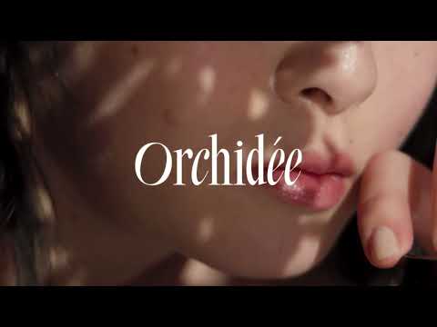 メゾンオルキデ ティントオイル｜Maison Orchidee