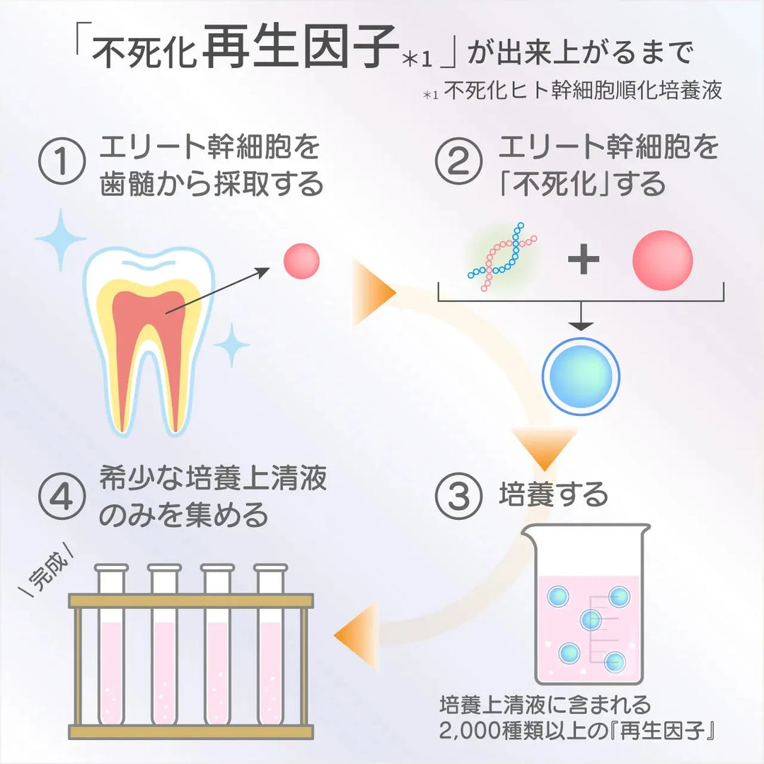 リジェニティ FK クリーム｜DARWIN - CHOUCHOU シュシュ｜美容アイテム通販サイト