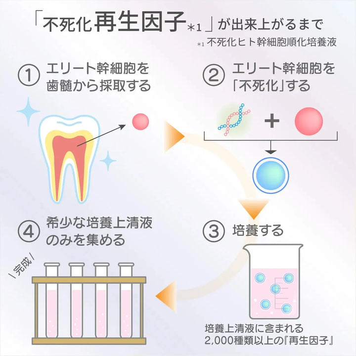 リジェニティ FK クリーム｜DARWIN - CHOUCHOU シュシュ｜美容アイテム通販サイト