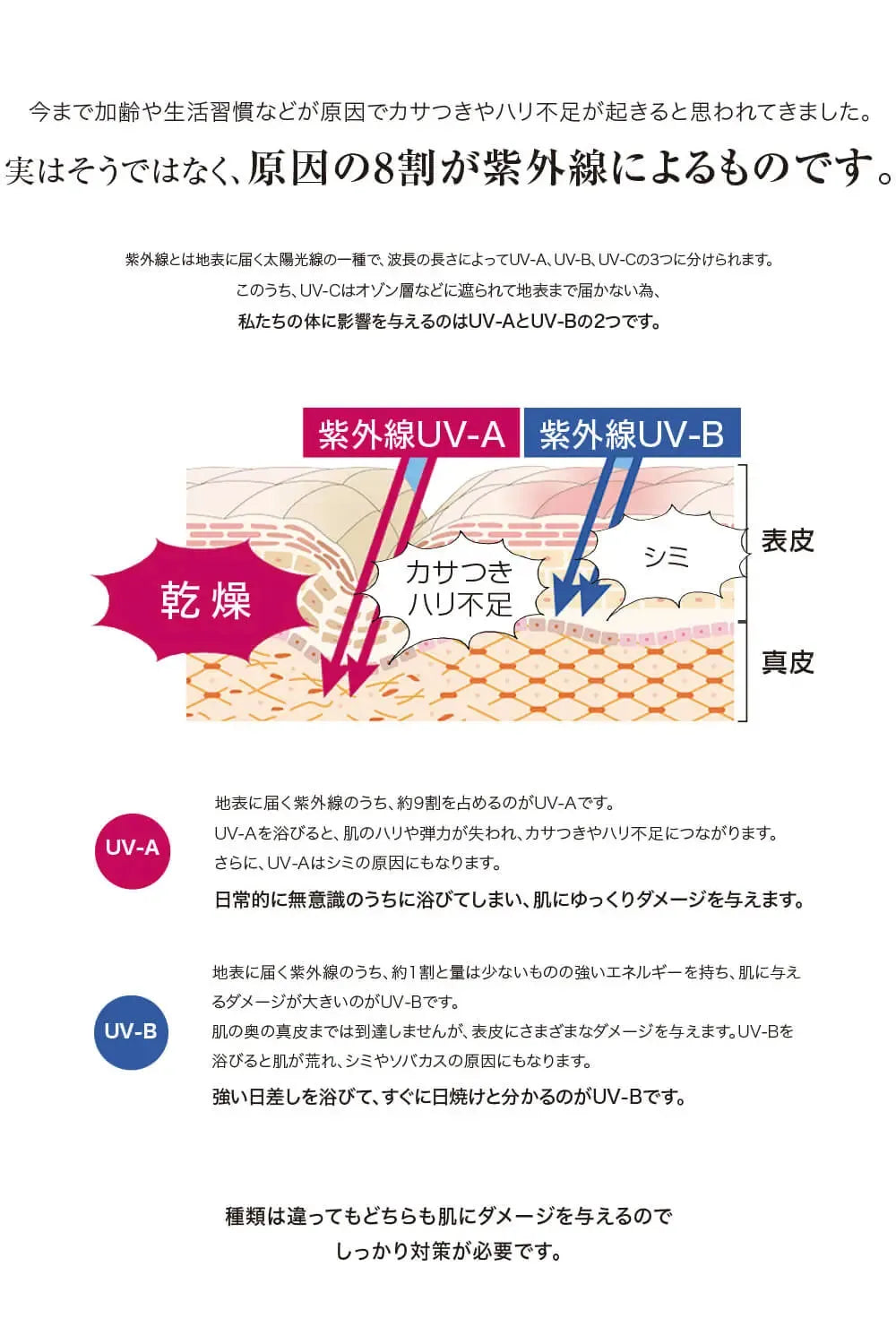 V3 プロテクションサンスクリーン｜SPICARE
