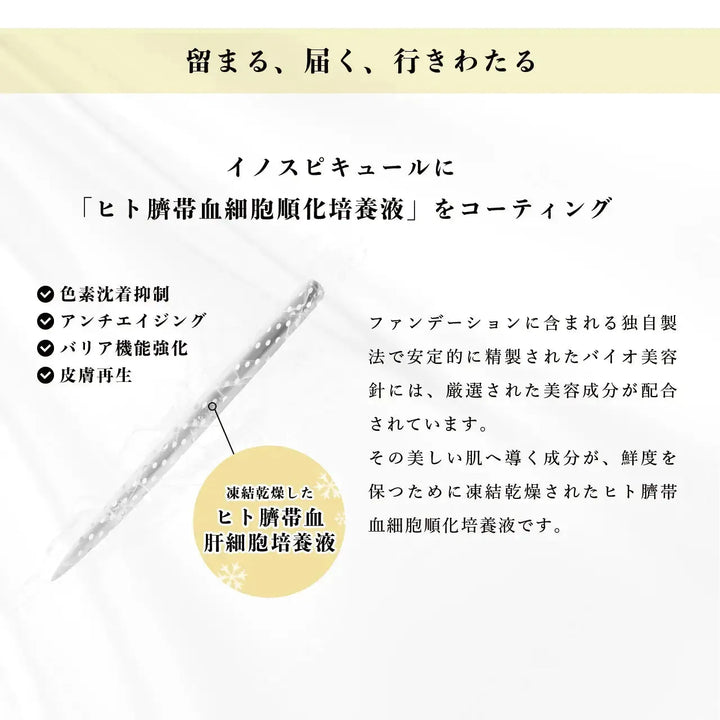 V3 ファンデーションについて