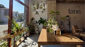tane.【タネ】 | 多摩のヘアサロン
