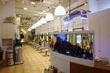 defi | 尼崎のヘアサロン
