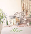 Mer【メル】 | 立川のヘアサロン