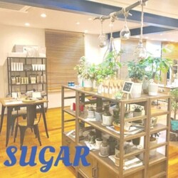 SUGAR morioka | 盛岡のヘアサロン SUGAR morioka | 盛岡のヘアサロン